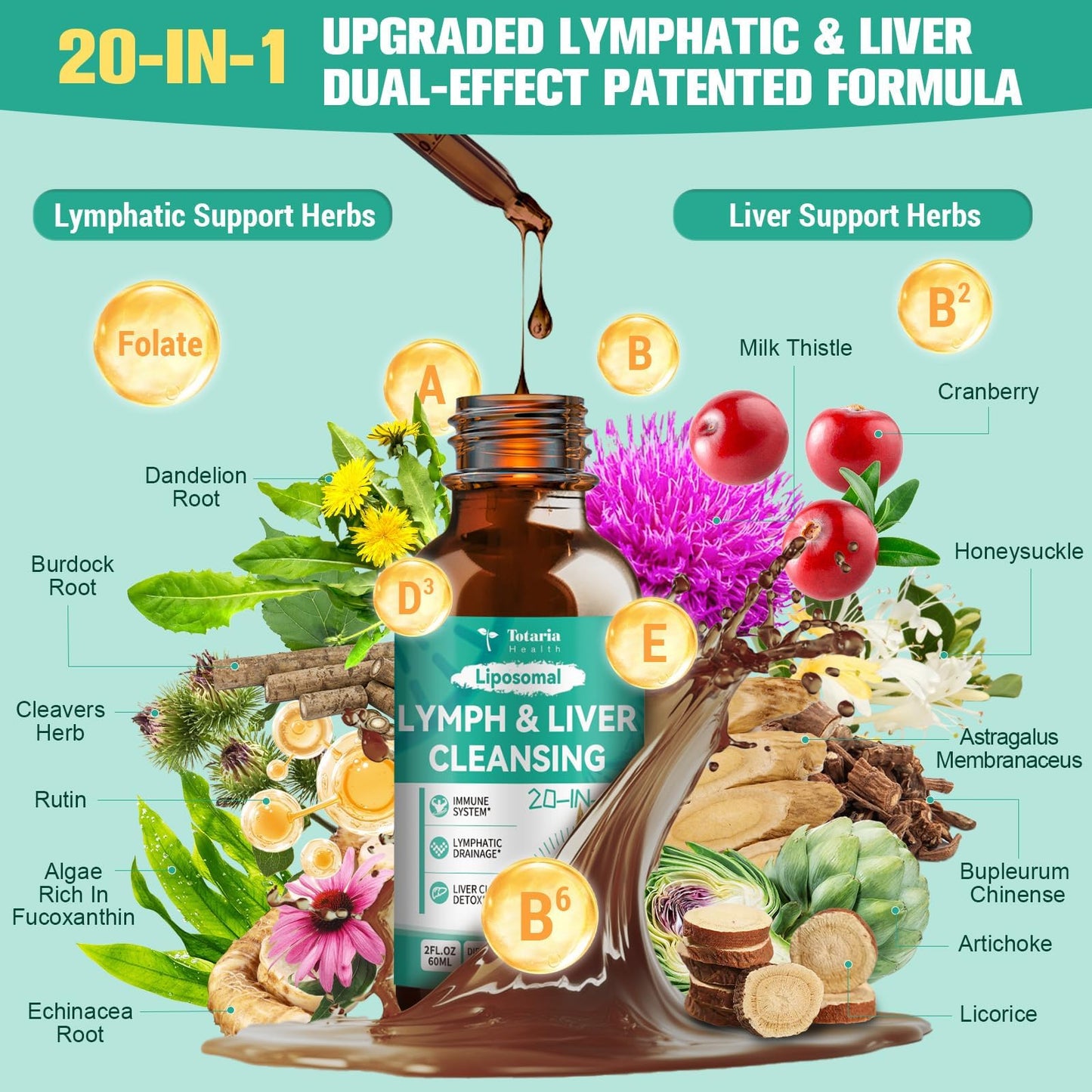 Lymph-Liver Cleanse Detox Drops with Milk Thistle & Echinacea