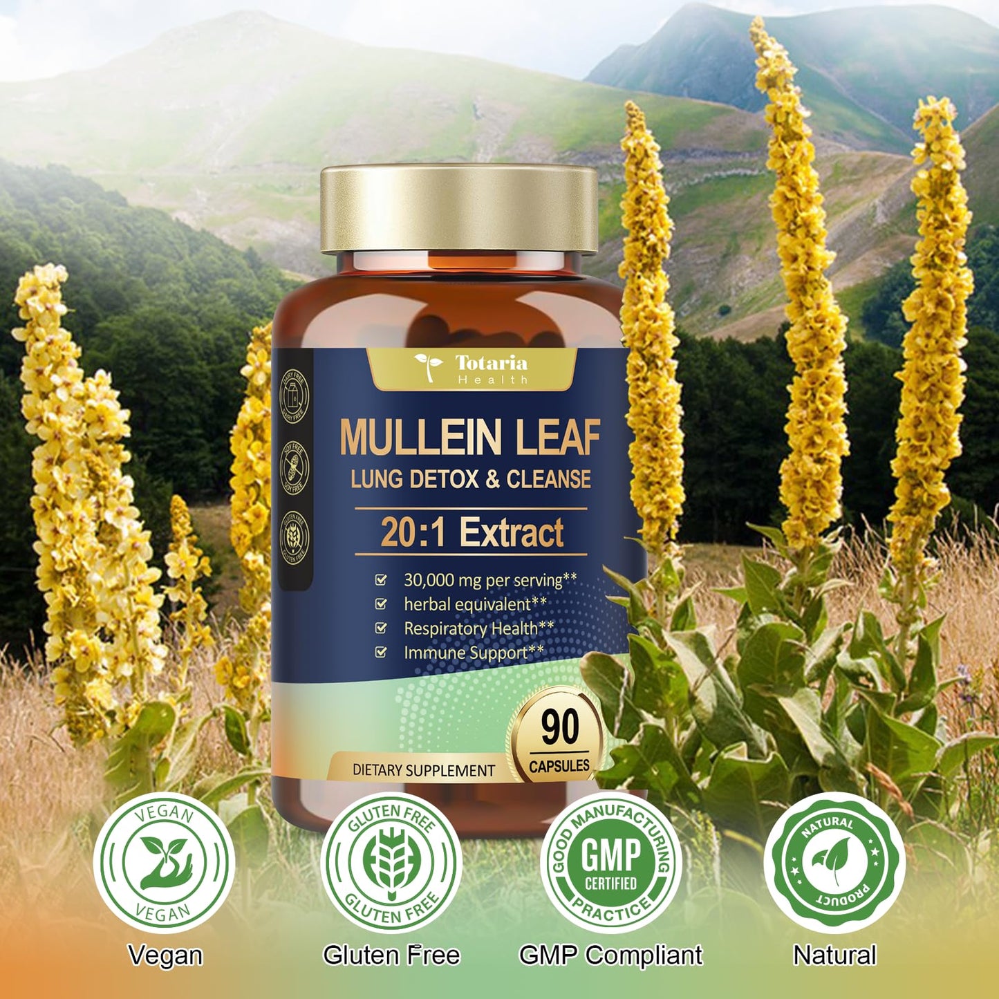 Mullein Leaf Extract 30000mg with Calendula – Lung Support (Caps)