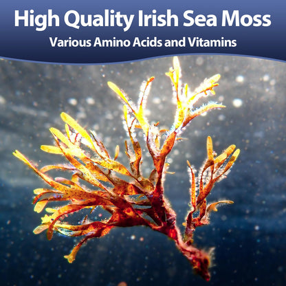 25-in-1 Sea Moss, Black Seed Oil, Ashwagandha & Shilajit