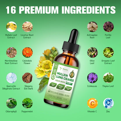 16-in-1 Mullein Drops for Lungs with Licorice & Marshmallow Root