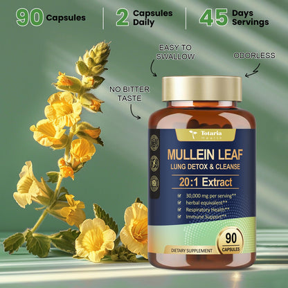 Mullein Leaf Extract 30000mg with Calendula – Lung Support (Caps)