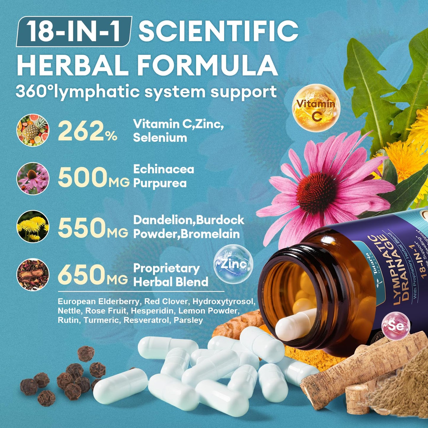 Lymphatic Drainage Capsules with Echinacea, Dandelion & Burdock