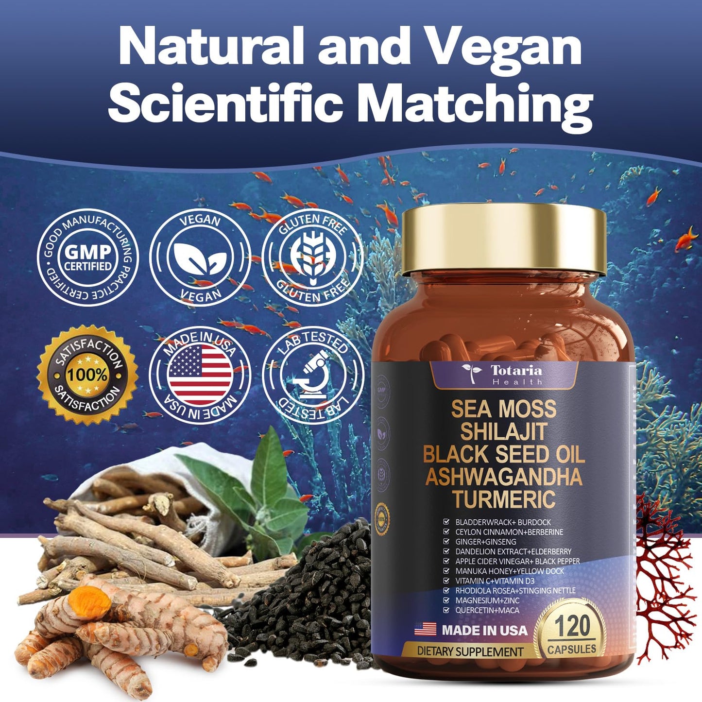25-in-1 Sea Moss, Black Seed Oil, Ashwagandha & Shilajit