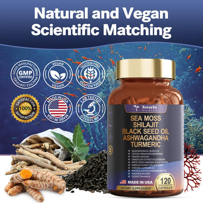25-in-1 Sea Moss, Black Seed Oil, Ashwagandha & Shilajit