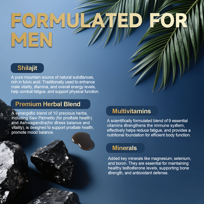 Shilajit Drops with Ashwagandha, Sea Moss & Saw Palmetto (Men)