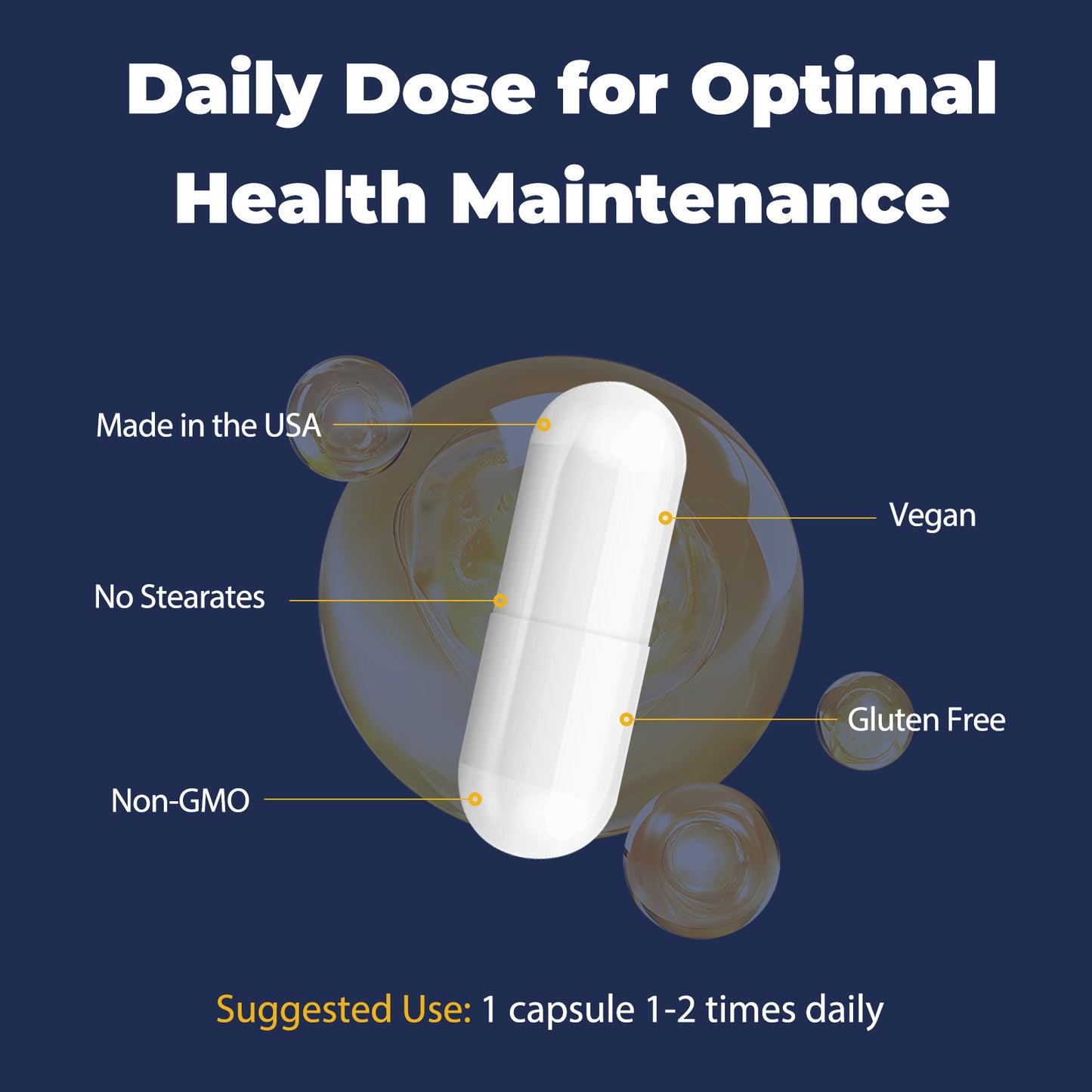 Cortisol Support Capsules with Ashwagandha, Rhodiola & L-Theanine
