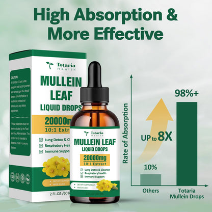 Mullein Drops for Lungs 20000mg – Respiratory & Immune (60ml)