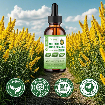 16-in-1 Mullein Drops for Lungs with Licorice & Marshmallow Root