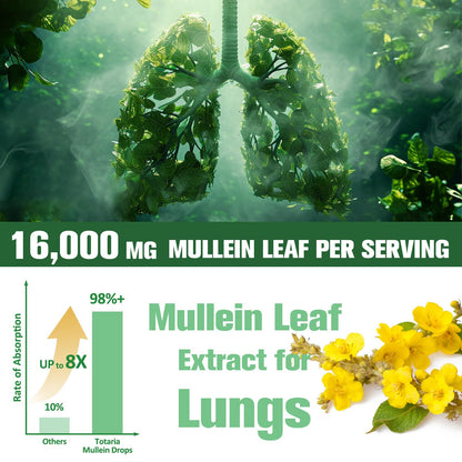 16-in-1 Mullein Drops for Lungs with Licorice & Marshmallow Root