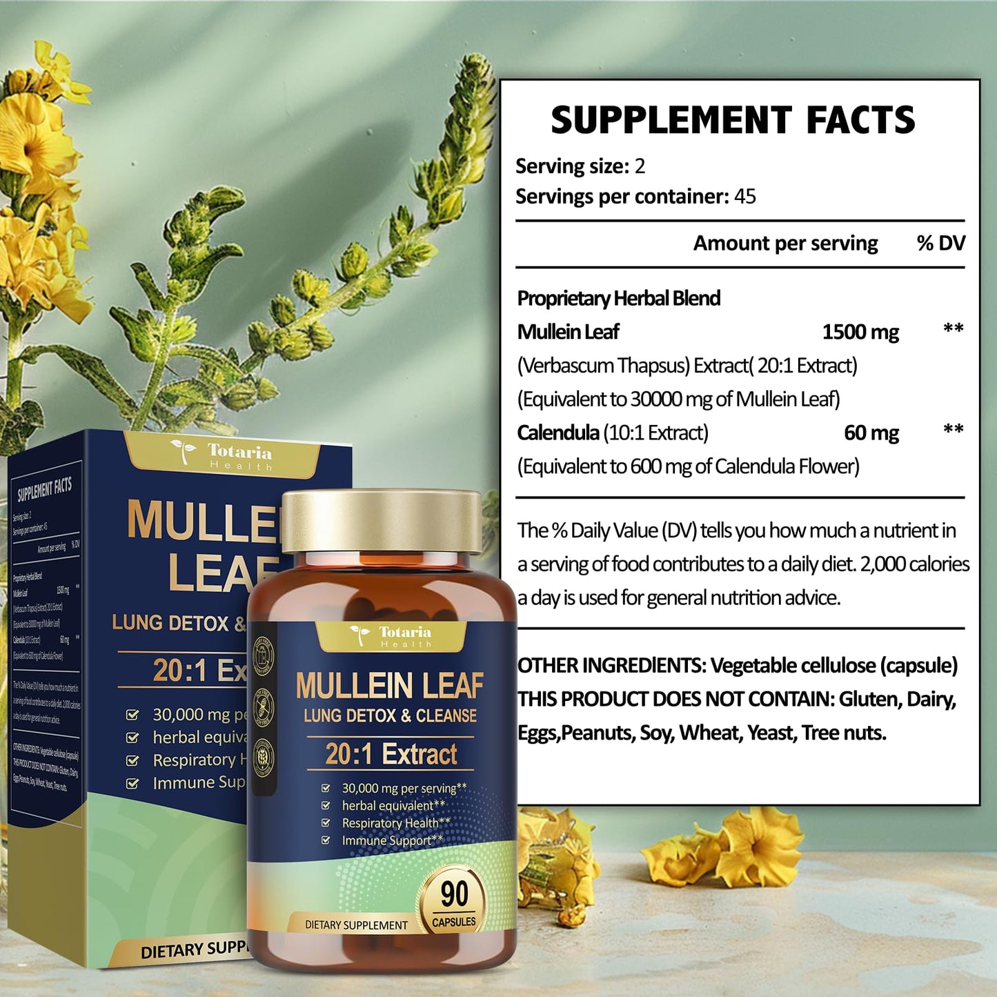Mullein Leaf Extract 30000mg with Calendula – Lung Support (Caps)