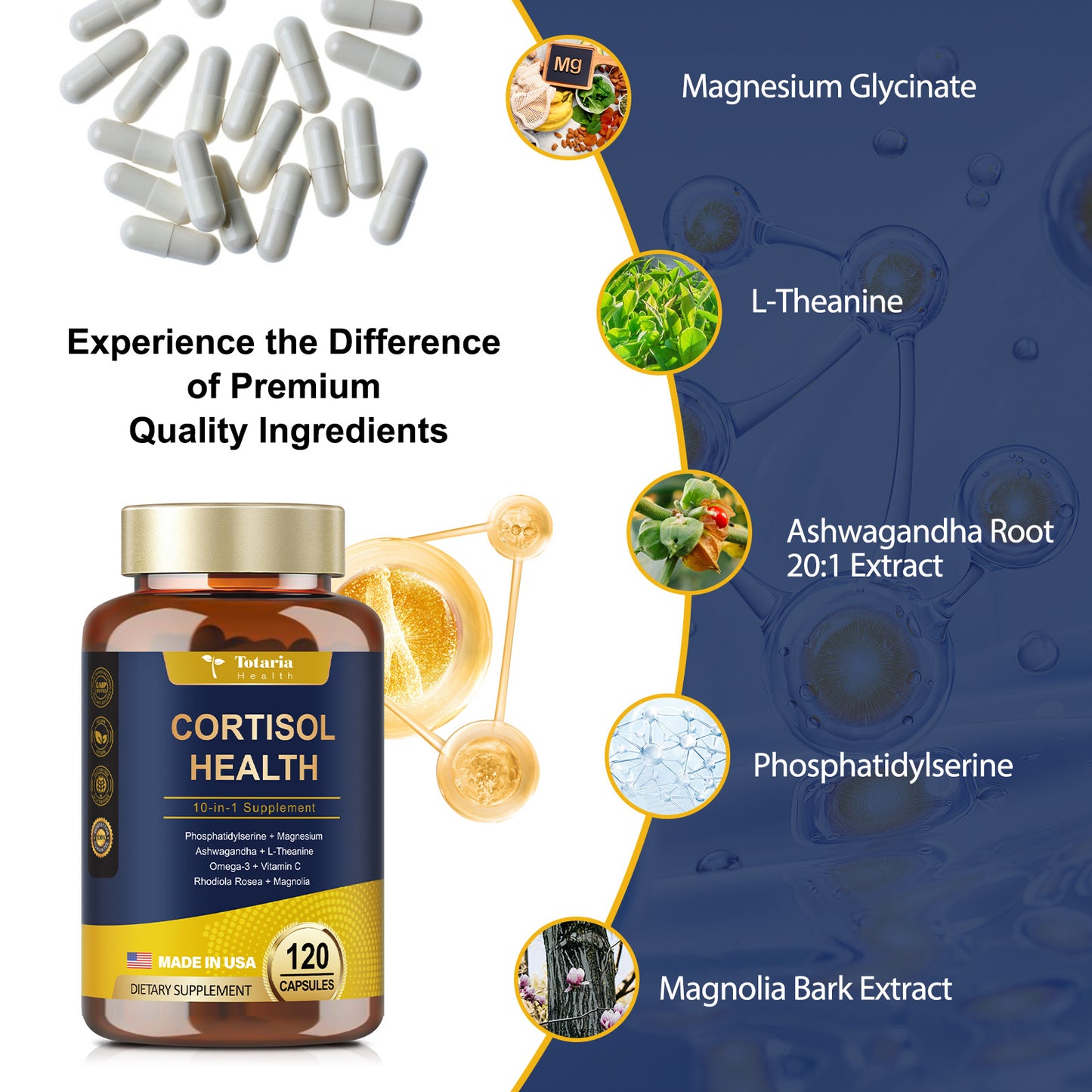 Cortisol Support Capsules with Ashwagandha, Rhodiola & L-Theanine