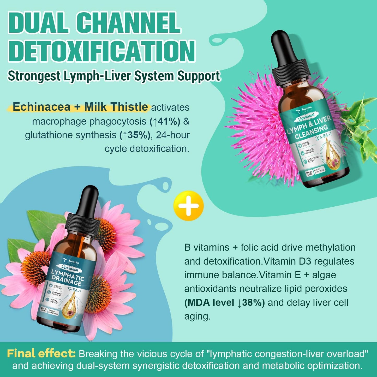 Lymph-Liver Cleanse Detox Drops with Milk Thistle & Echinacea