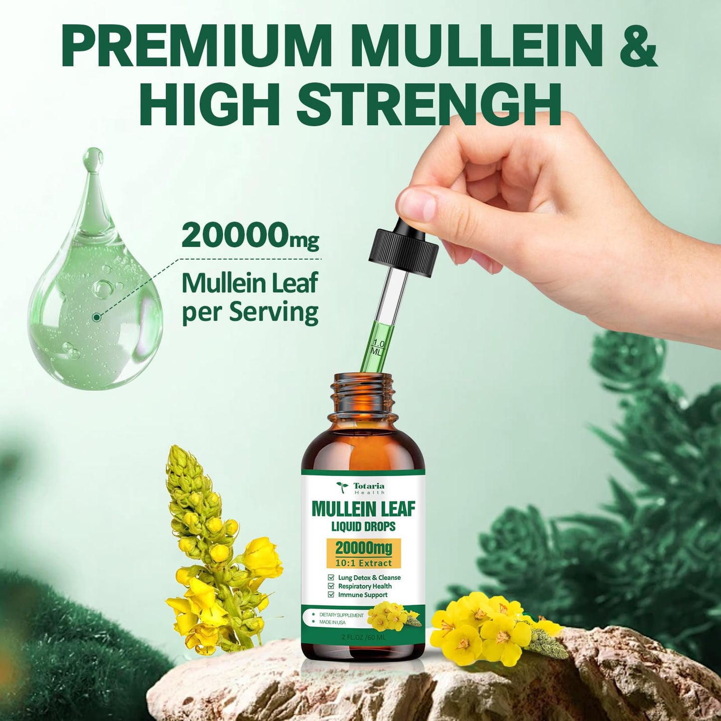 Mullein Drops for Lungs 20000mg – Respiratory & Immune (60ml)