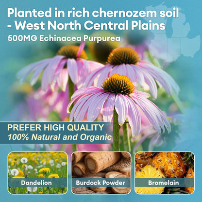 Lymphatic Drainage Capsules with Echinacea, Dandelion & Burdock