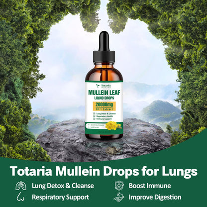 Mullein Drops for Lungs 20000mg – Respiratory & Immune (60ml)