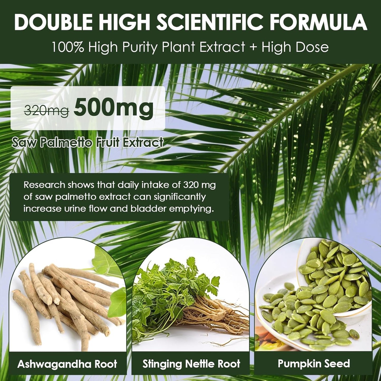Organic Saw Palmetto for Prostate with Nettle & Pumpkin Seed