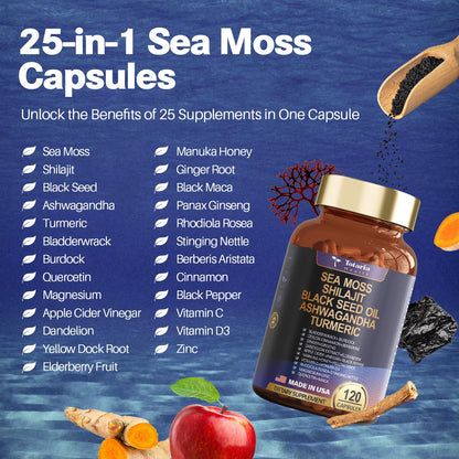 25-in-1 Sea Moss, Black Seed Oil, Ashwagandha & Shilajit