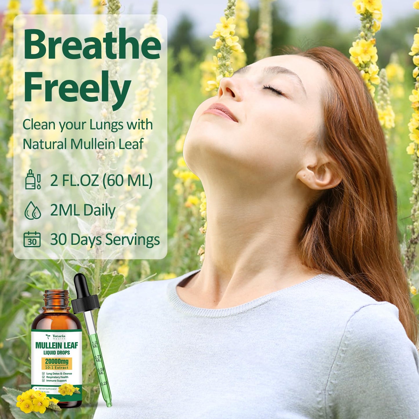 Mullein Drops for Lungs 20000mg – Respiratory & Immune (60ml)