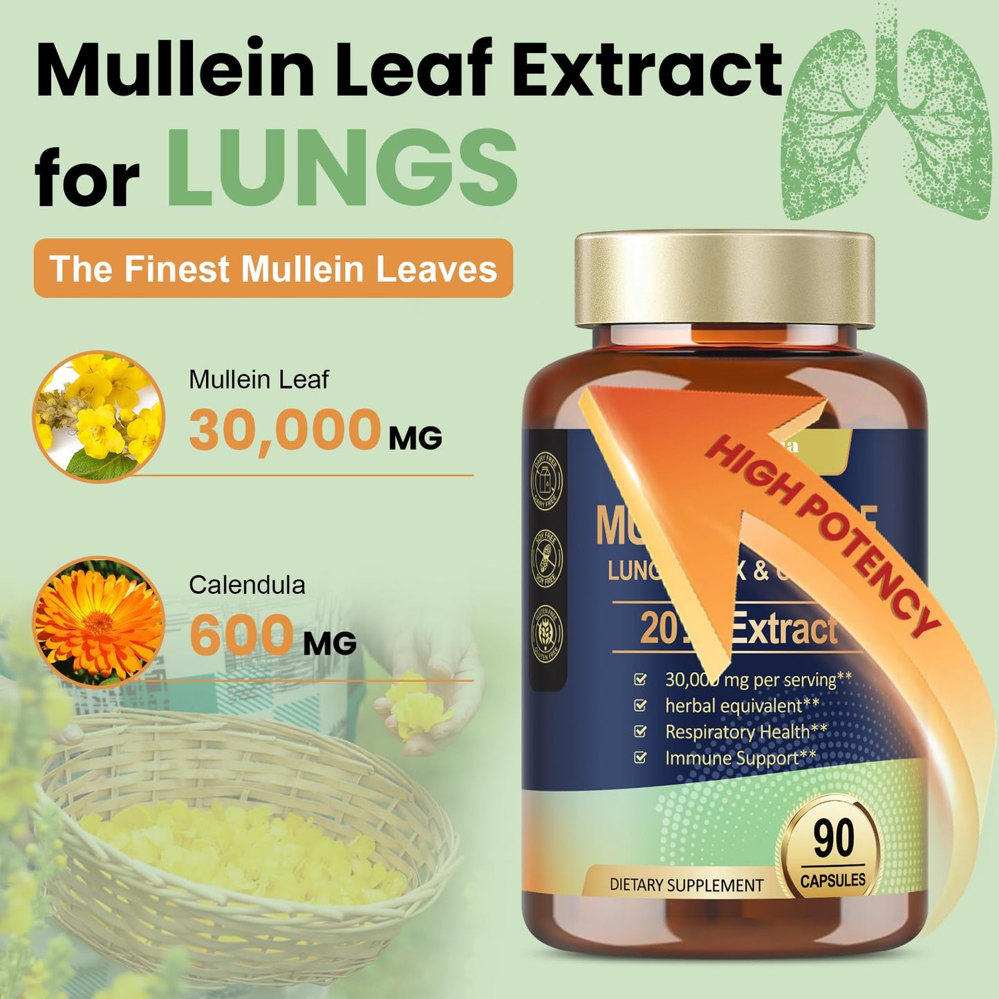 Mullein Leaf Extract 30000mg with Calendula – Lung Support (Caps)