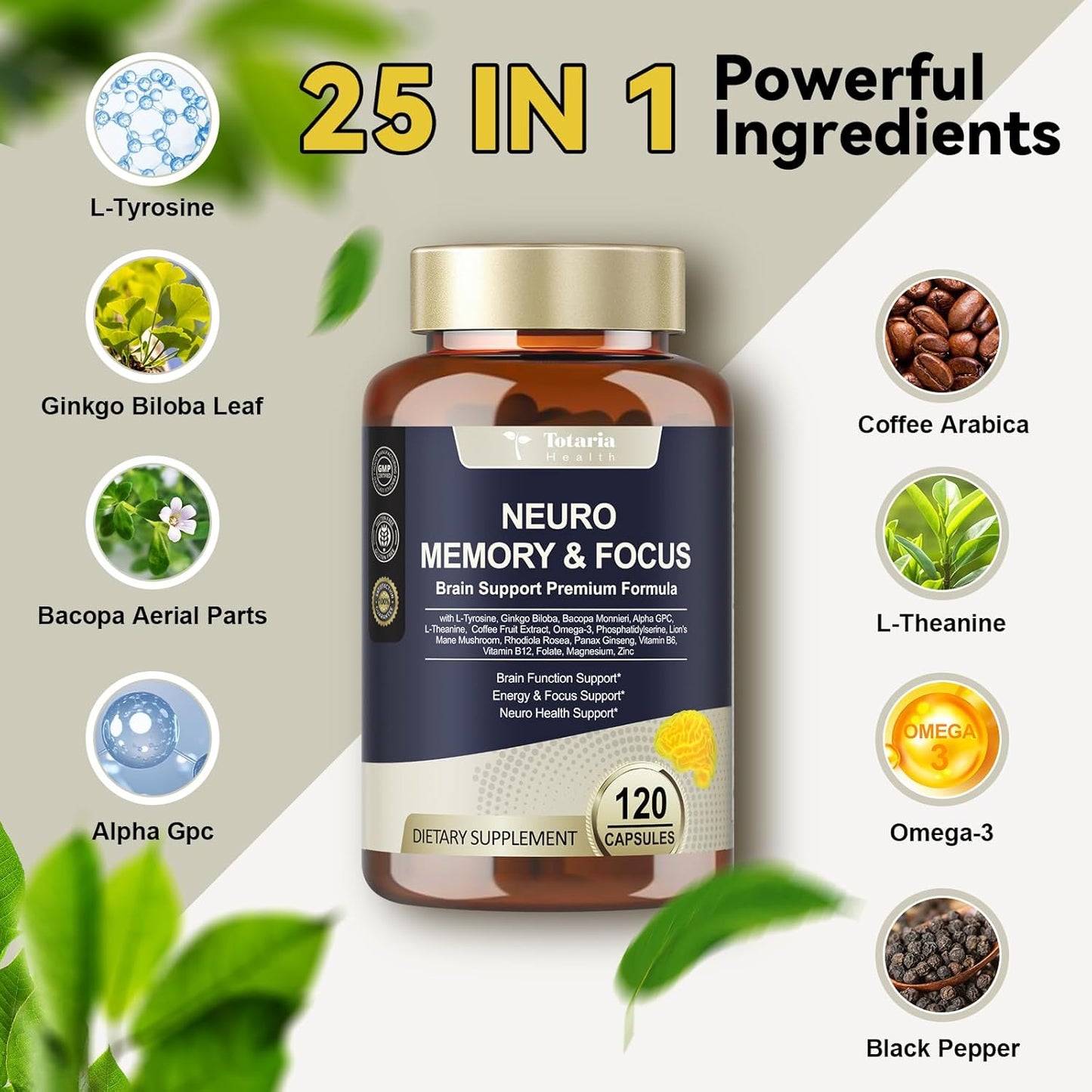 25-in-1 Brain Supplement for Memory & Focus – Nootropic